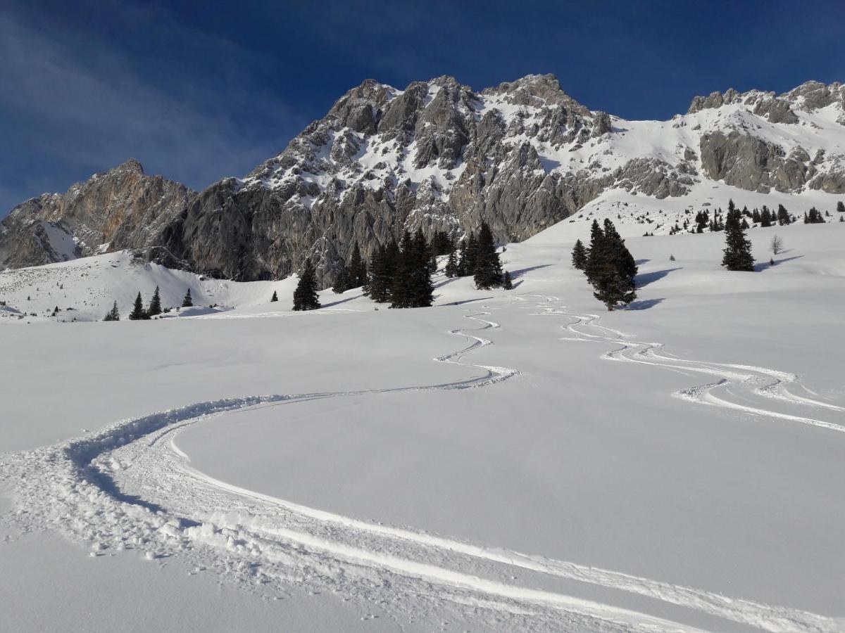 Appartement Gipfelblick- Tiroler Zugspitze Arena In Biberwier Exteriör bild