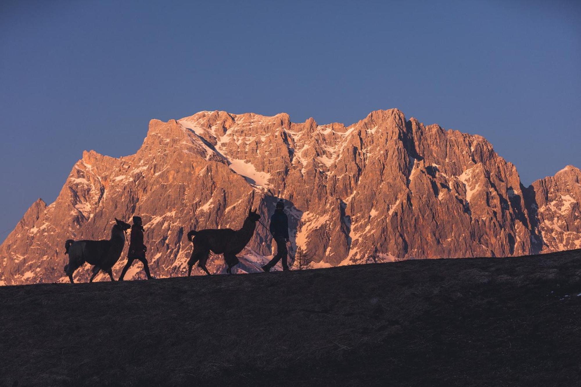 Appartement Gipfelblick- Tiroler Zugspitze Arena In Biberwier Exteriör bild